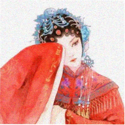 观众苏迟的头像